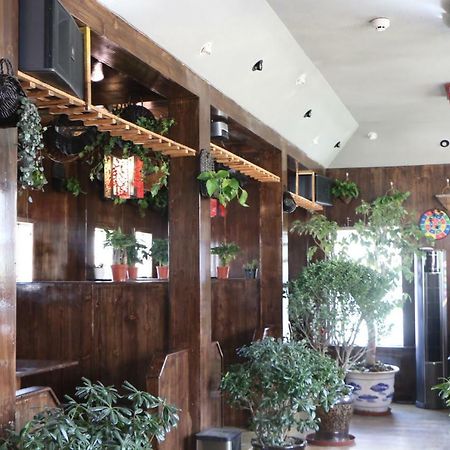 拉萨 西藏蜂巢酒店 外观 照片